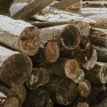Storage Solutions - Logs stacked in a pile outside a house