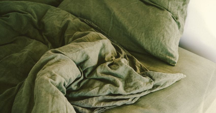 Home Hub - A green comforter on a bed with pillows